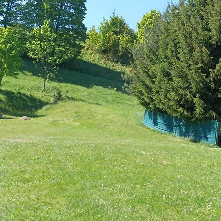Apartamenty Sowianka Ludwikowice Kłodzkie Dış mekan fotoğraf