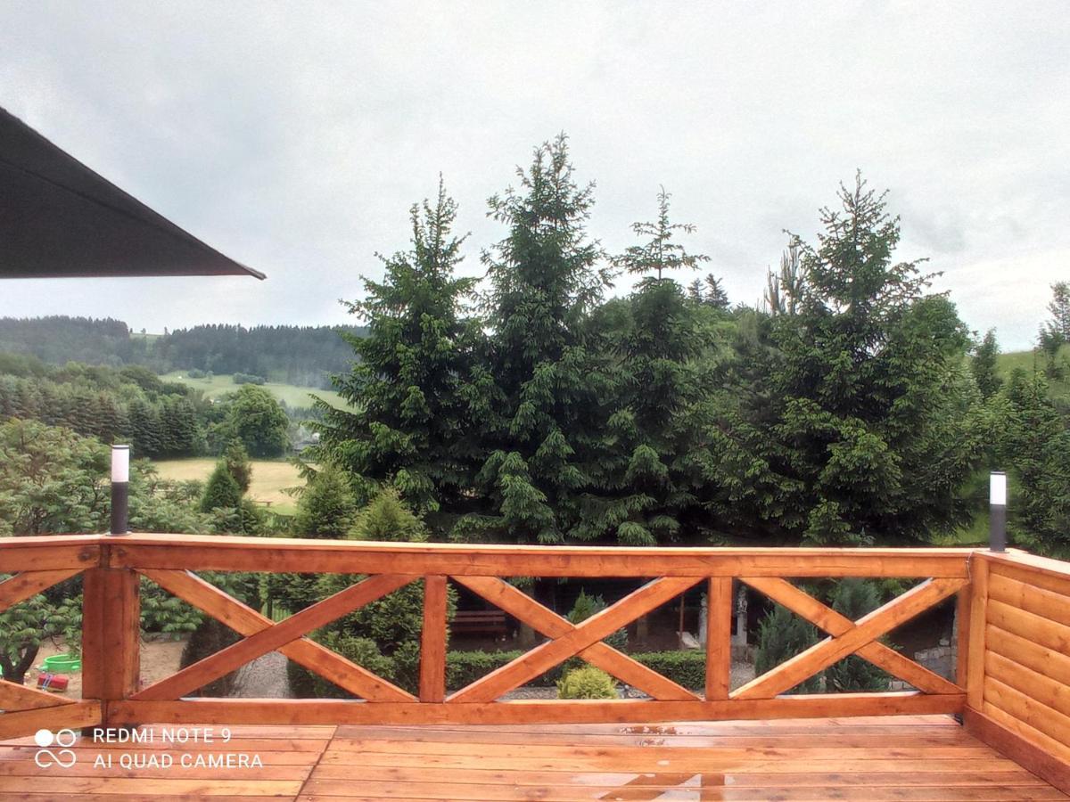 Apartamenty Sowianka Ludwikowice Kłodzkie Dış mekan fotoğraf