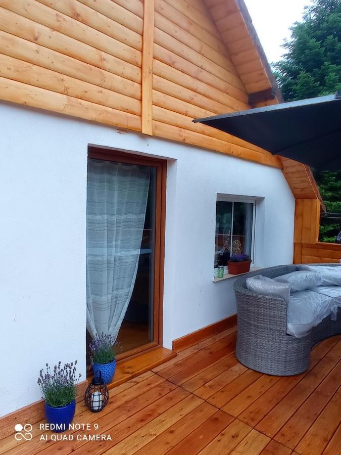 Apartamenty Sowianka Ludwikowice Kłodzkie Dış mekan fotoğraf