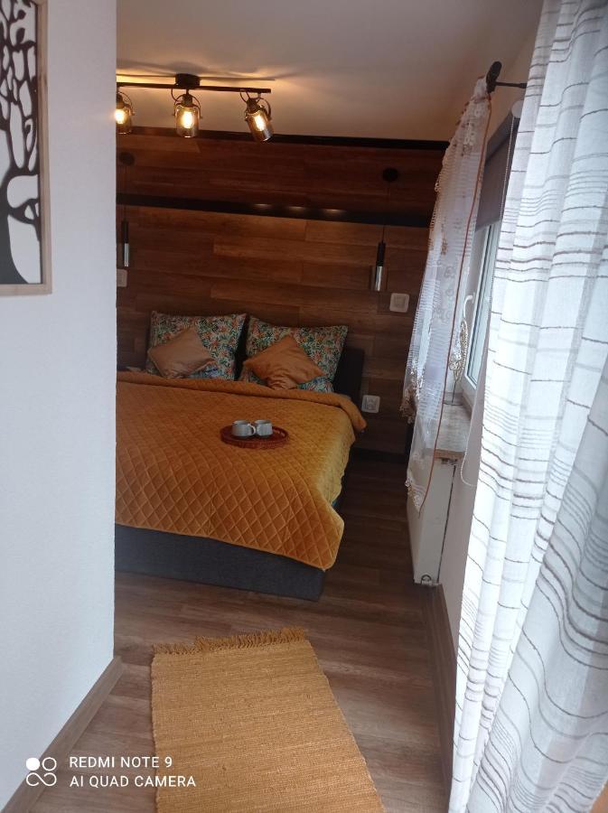 Apartamenty Sowianka Ludwikowice Kłodzkie Dış mekan fotoğraf