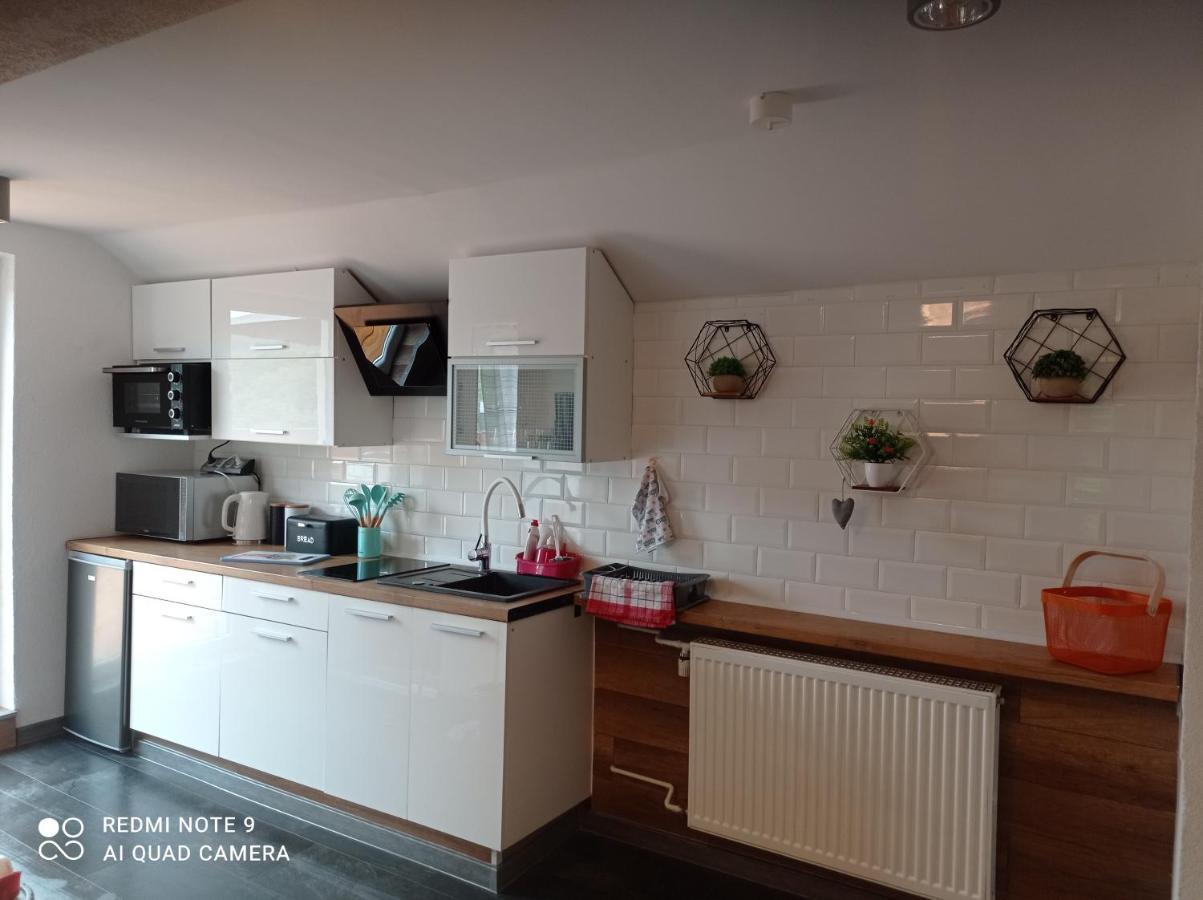 Apartamenty Sowianka Ludwikowice Kłodzkie Dış mekan fotoğraf