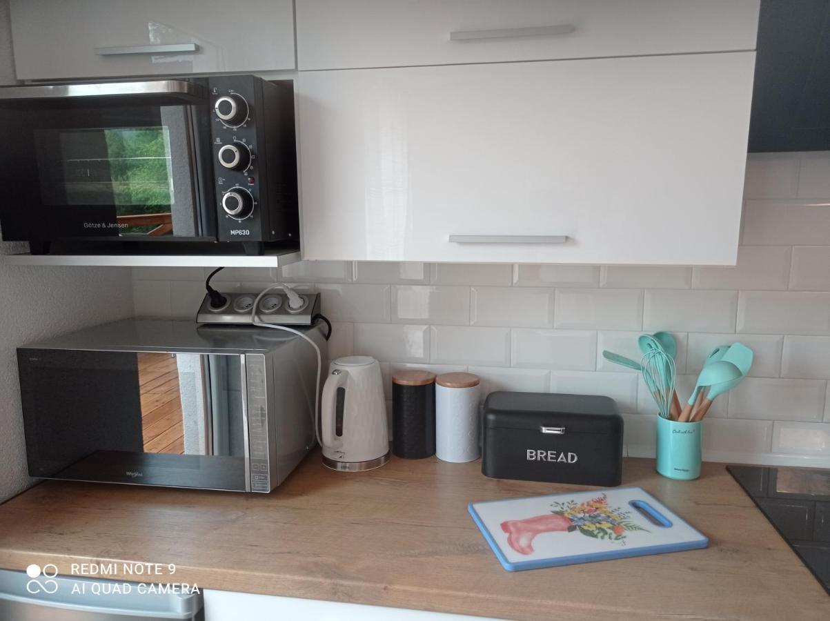 Apartamenty Sowianka Ludwikowice Kłodzkie Dış mekan fotoğraf