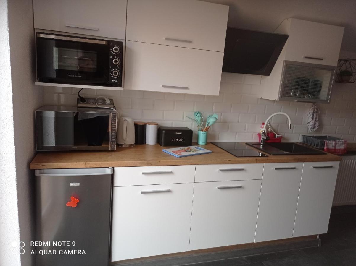Apartamenty Sowianka Ludwikowice Kłodzkie Dış mekan fotoğraf