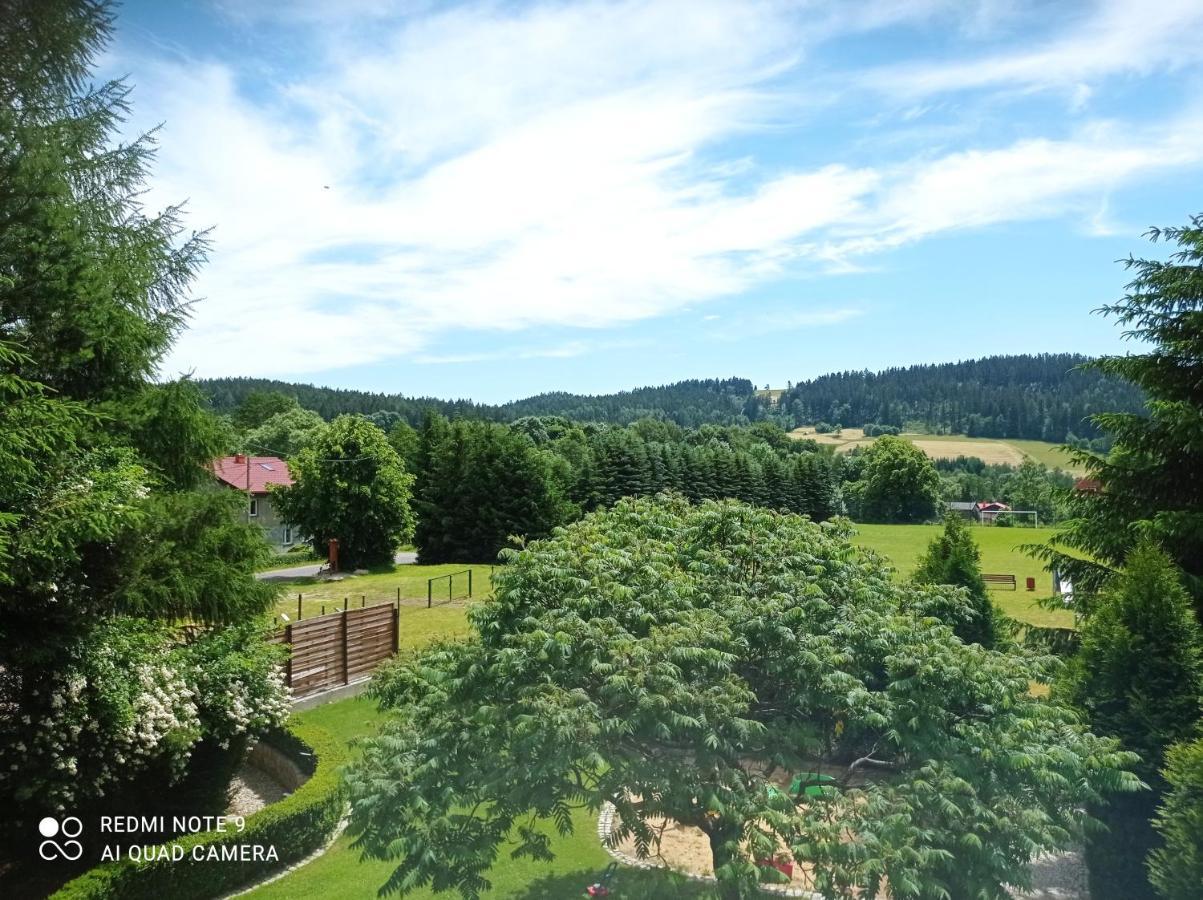 Apartamenty Sowianka Ludwikowice Kłodzkie Dış mekan fotoğraf