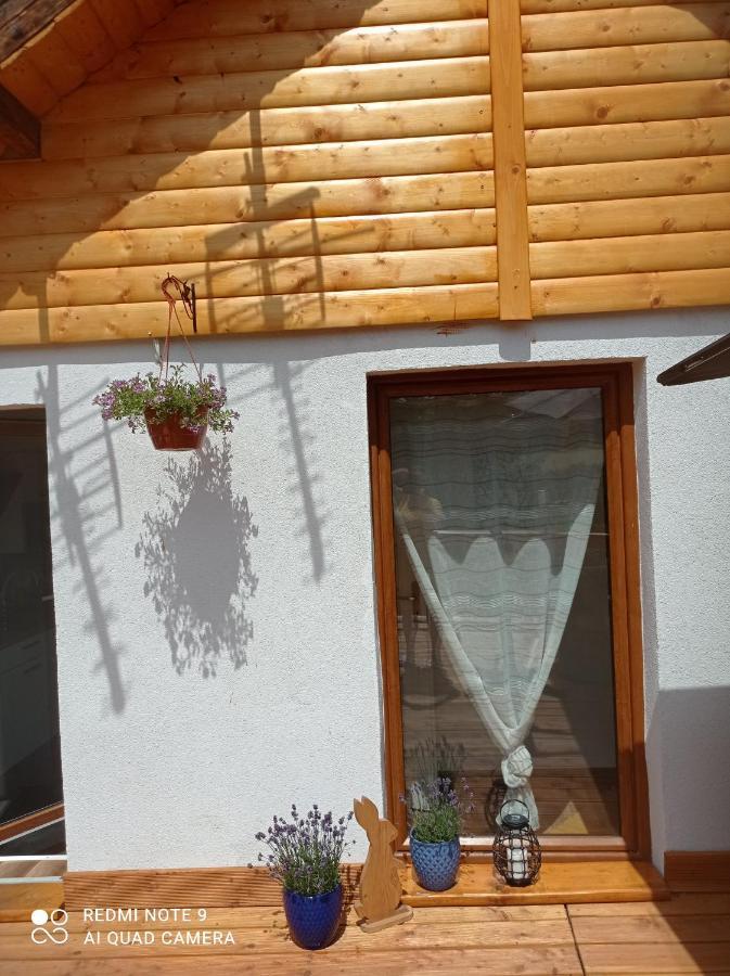 Apartamenty Sowianka Ludwikowice Kłodzkie Dış mekan fotoğraf